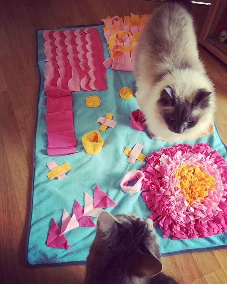 tapis de fouille chimey's paradise