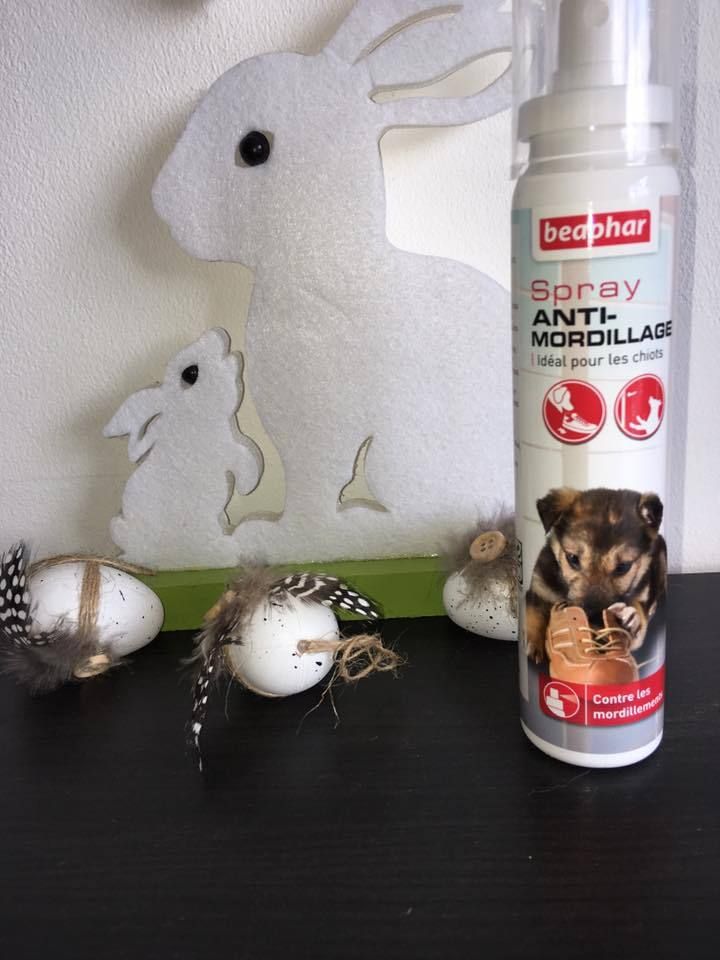 spray anti-mordillage beaphar