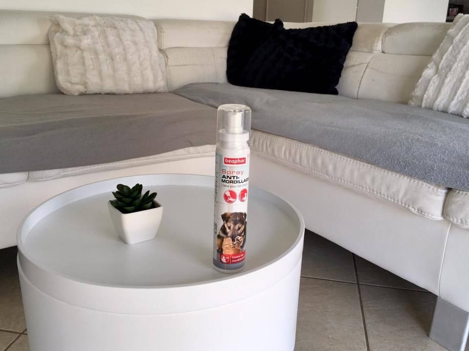 spray anti-mordillage Béaphar france
