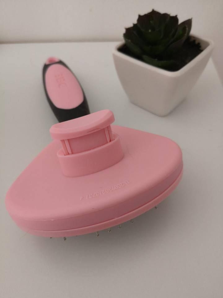 brosse pour chien et chat