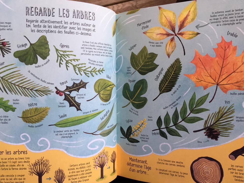 livre activité usborne édition
