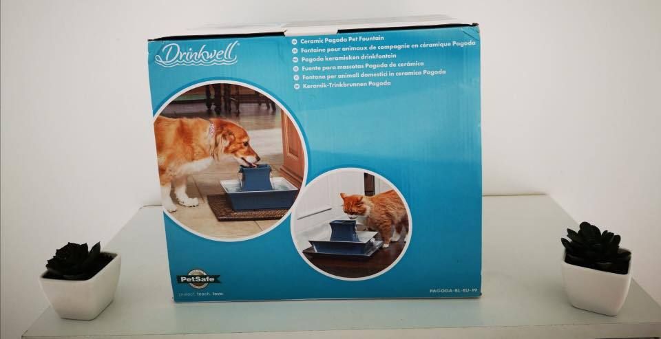 fontaine a eau pour animaux