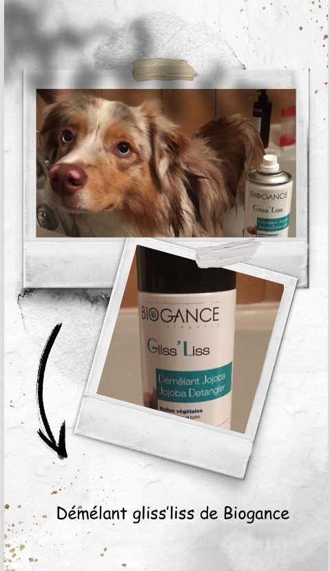Biogance : produits de toilettage pour nos poilus - ma petite vie 