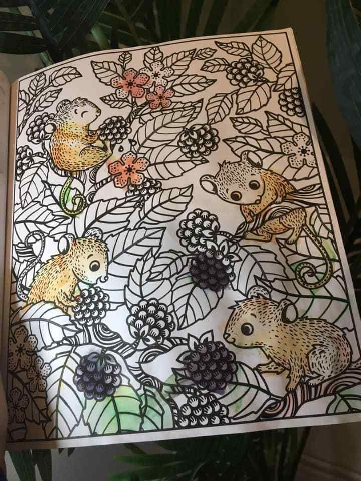 peinture magique edition usborne