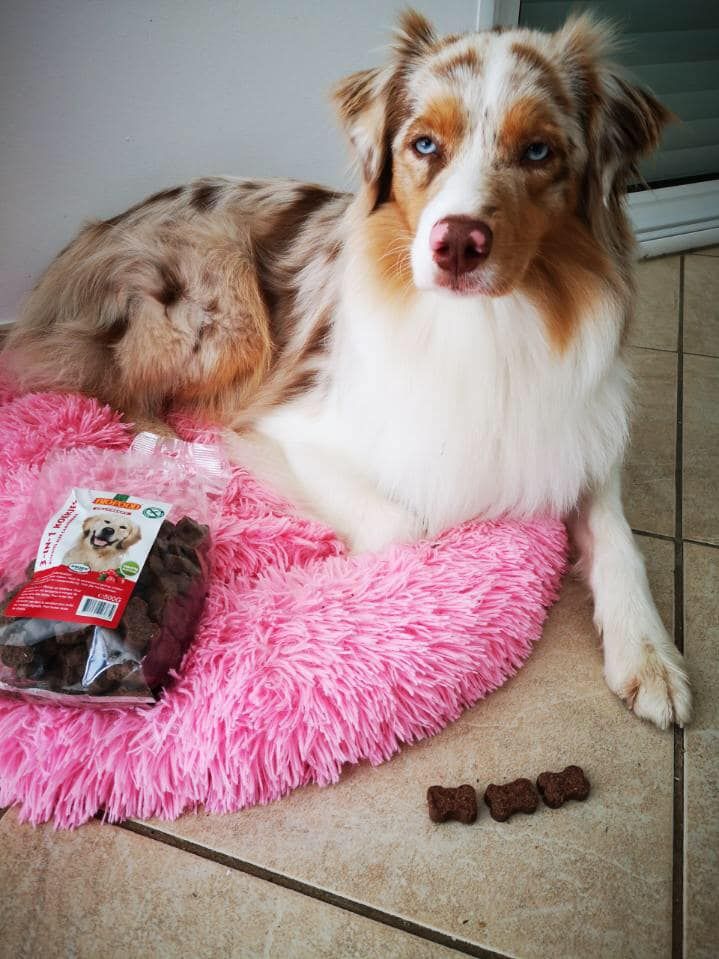bonbons biofood