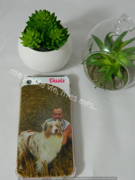 coque-design.com