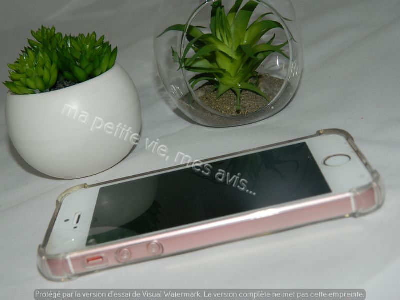 coque design
