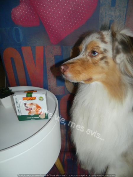 puce et tique biofood