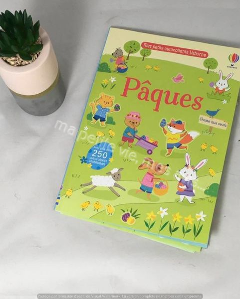 usborne edition