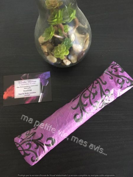 Elodie conseillère younique