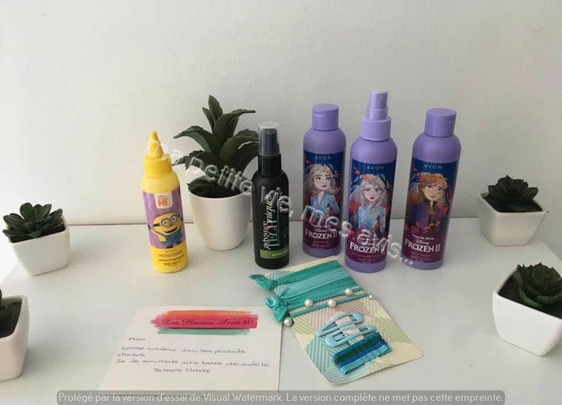 les plaisirs d'Avon 60