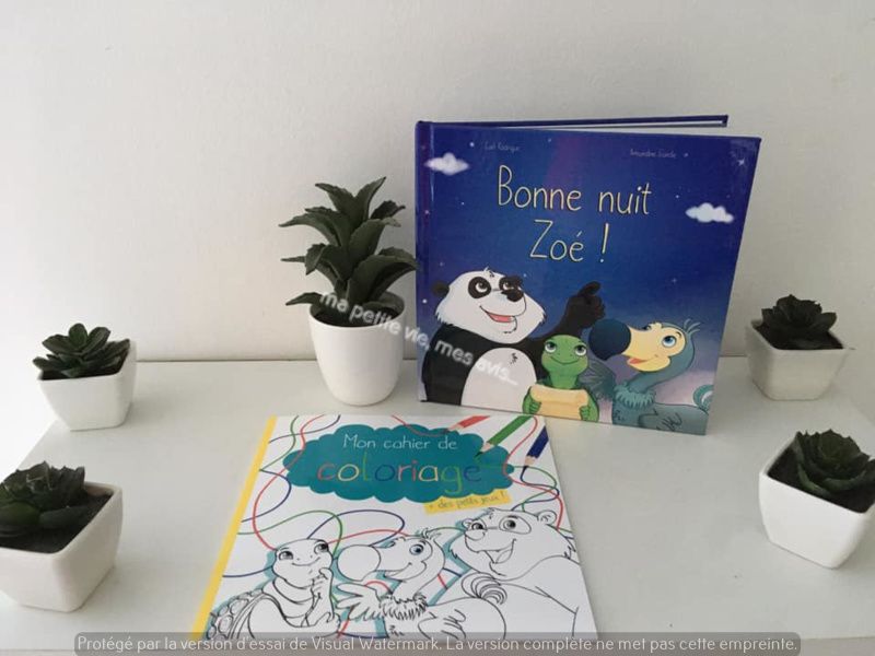 Livre bonne nuit