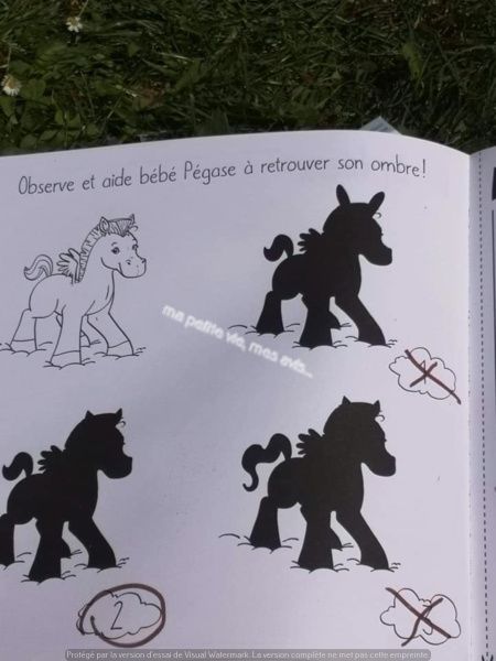 livre activités enfant