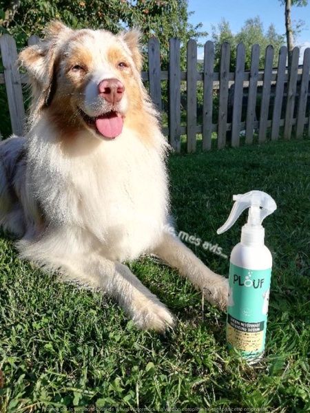 lotion nettoyante biogance