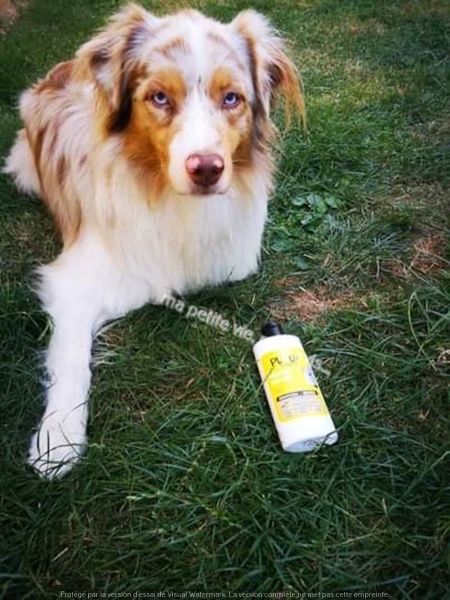 shampoing plouf biogance