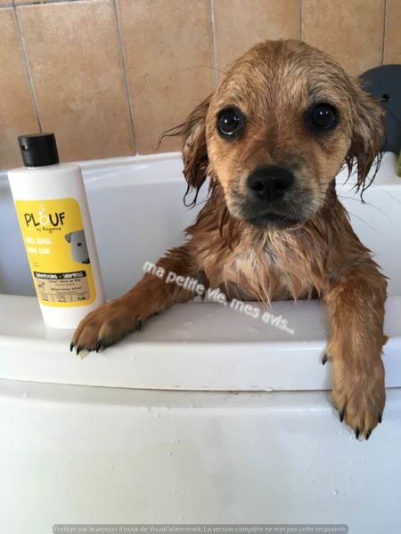 shampoing biogance avis