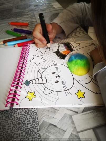 livre a colorier furry et les crayons de couleur xl de chez ses creative.