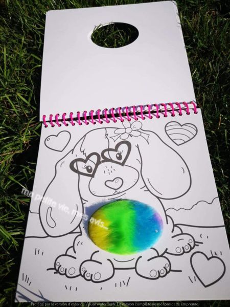 livre a colorier furry