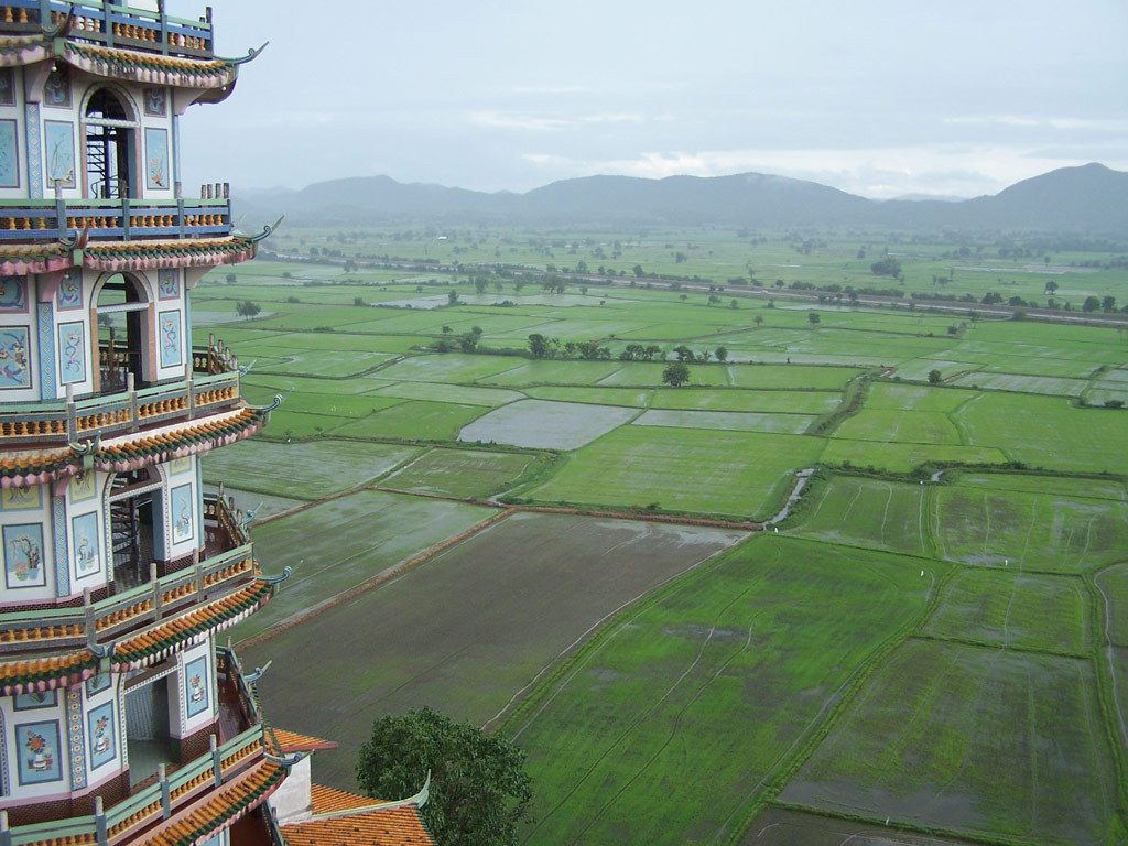 Rizière Kanchanaburi - Wat Khao Noi