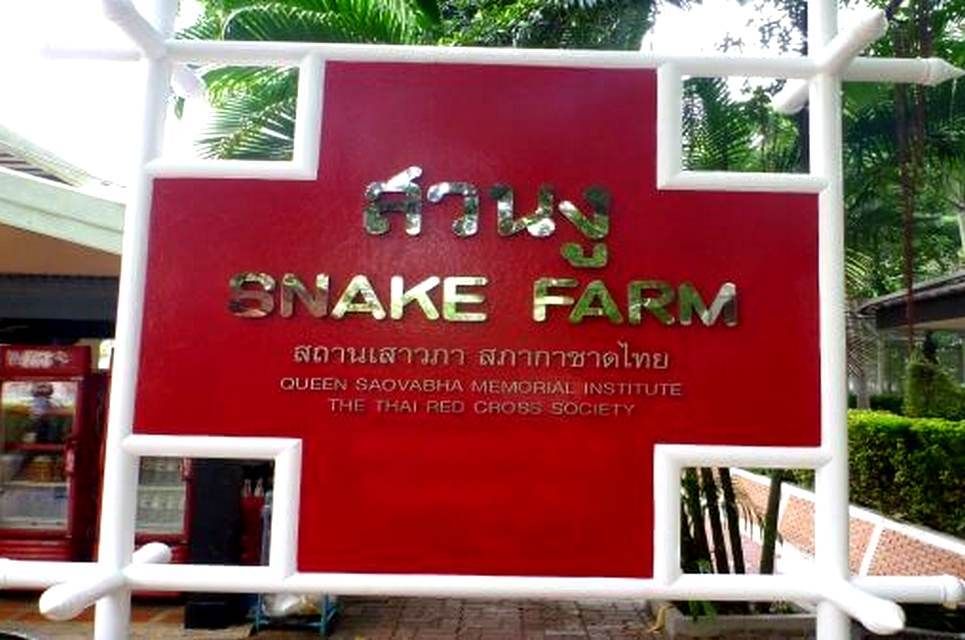 Snake Farm