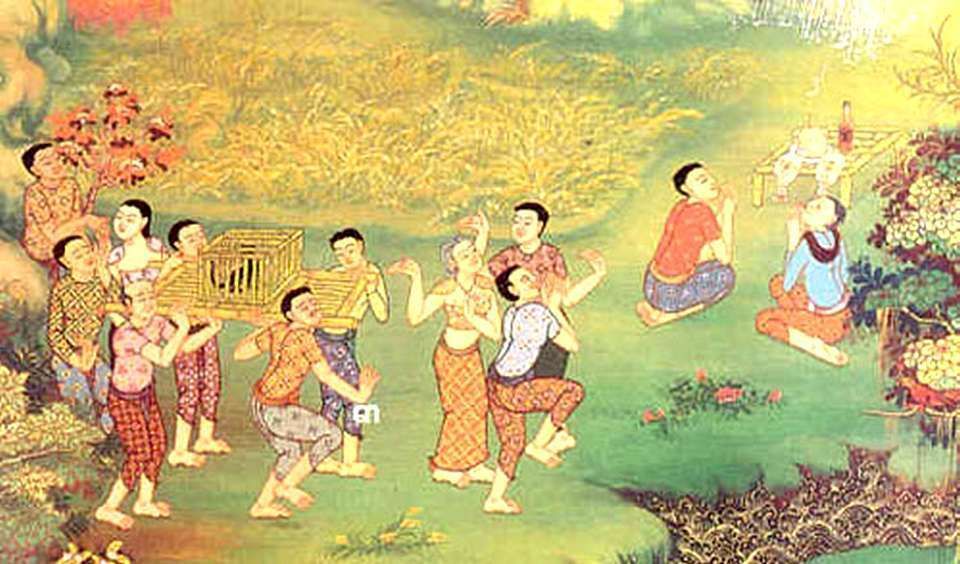 Chat Echaude Craint L Eau Froide Hae Nang Maeo Safarine News