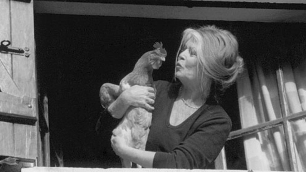 Brigitte Bardot