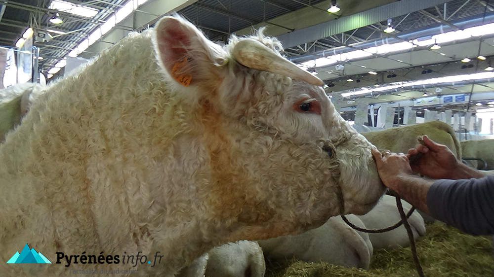 Salon de l'Agriculture de Tarbes