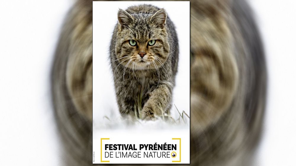 Festival Pyrénéen de l'Image Nature