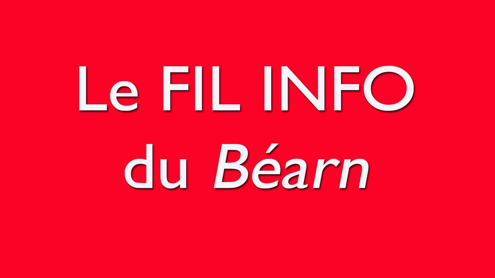 VIDEO. Un ours filmé de près par un marcheur, une association alerte sur  les dangers de cette pratique