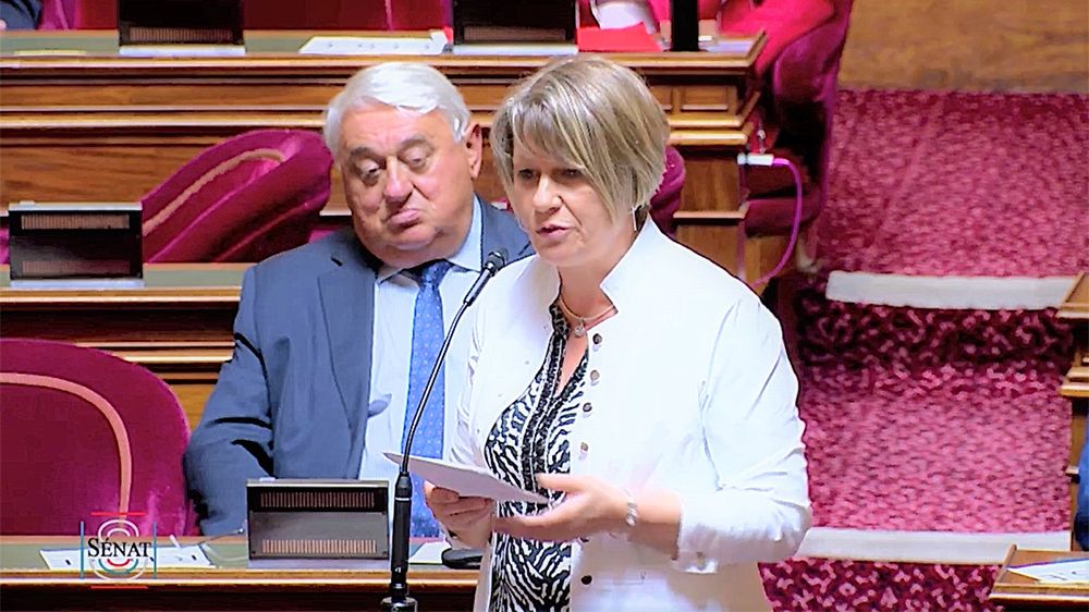 La sénatrice interpelle le Gouvernement sur la ligne aérienne Tarbes - Paris