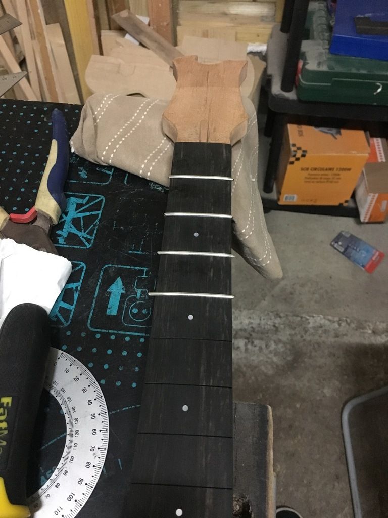 fingerboard frets