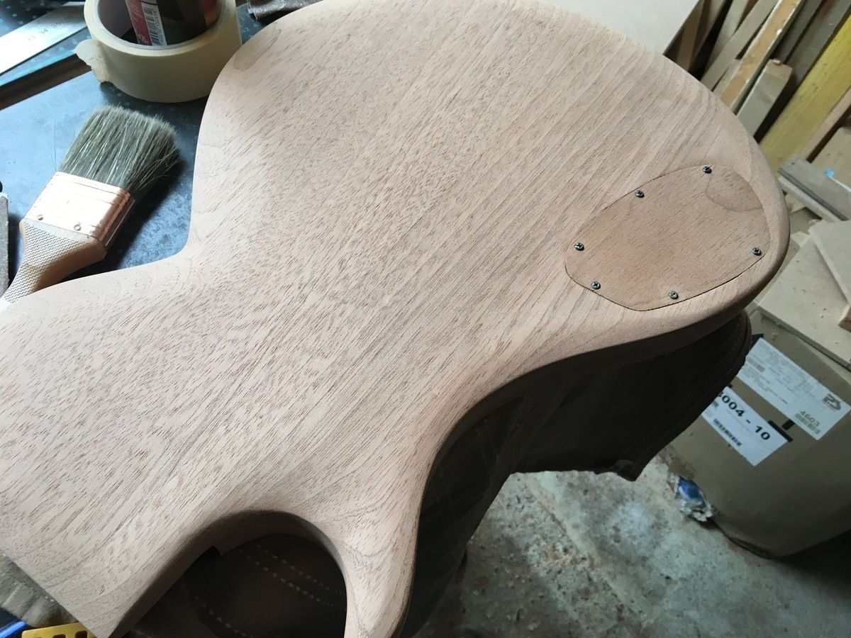 guitar backplate