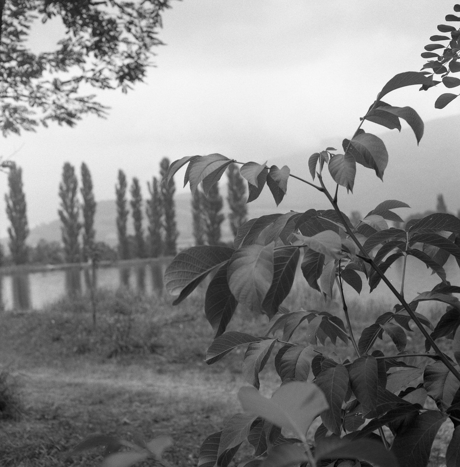 Lac de Puivert, paysage, photographie