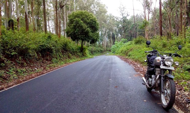 KOLLI HILLS, TAMIL NADU ROAD TRIP - Royaltravello