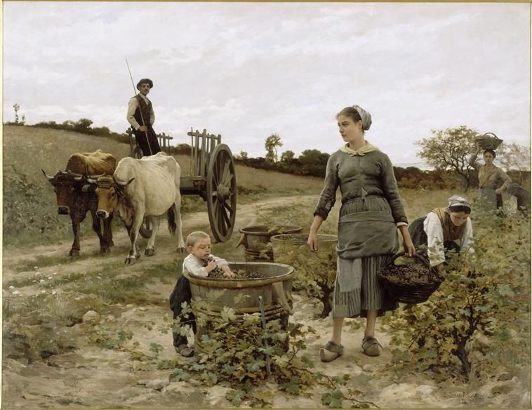 coin de vigne, Edouard Debat-Ponsan