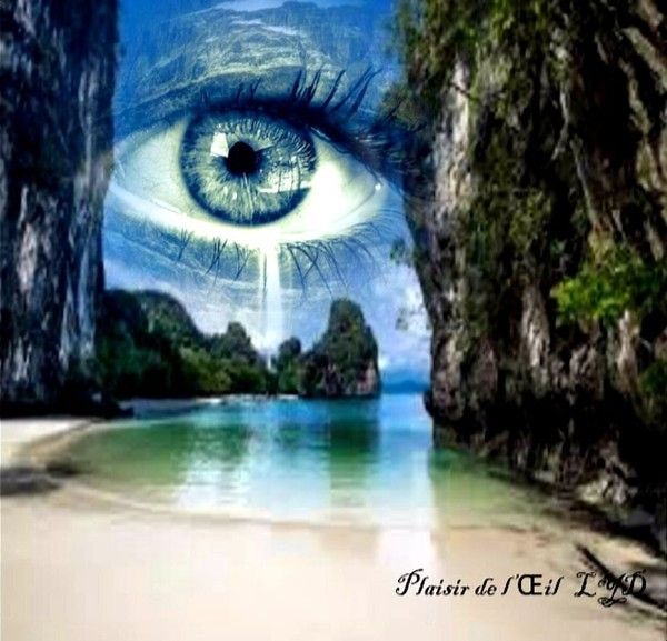 Oeil Qui Pleure Plaisir De L Oeil Puce Oeil Qui Pleure Plaisir De L Oeil Puce