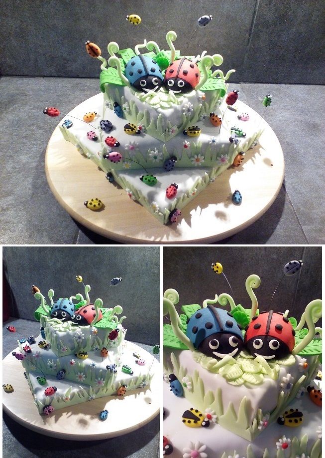 Termine Gateau D Anniversaire Coccinelles Multicolores Dix Petits Doigts