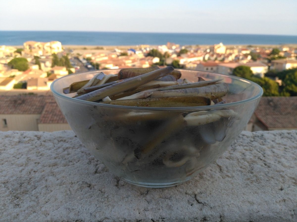 #summer #love #happy #sun #sea