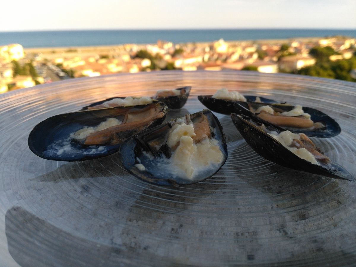 Cuisine du sud-ouest ; Gastronomie du sud-ouest ; Sud-ouest ; recettes de cuisine ; maigrir rapidement ;