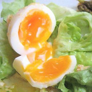 cuisson oeuf mollet