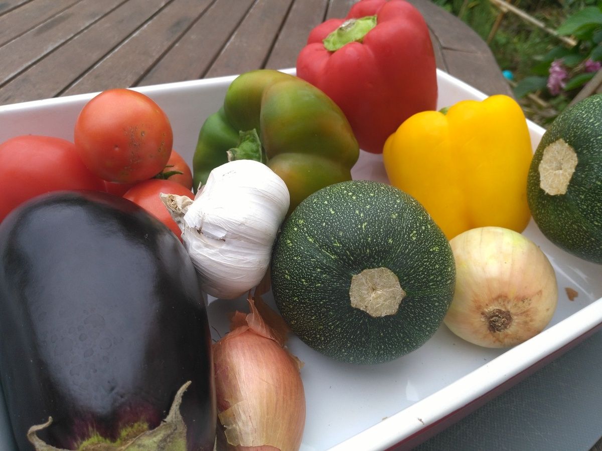 Escalivade de légumes