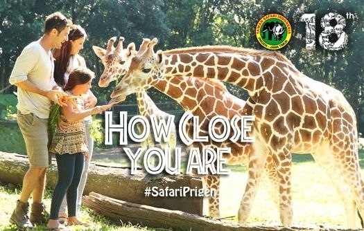 Taman Safari Prigen Menawarkan Rencana Edukasi Serta