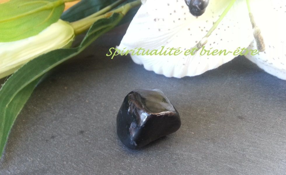 Shungite