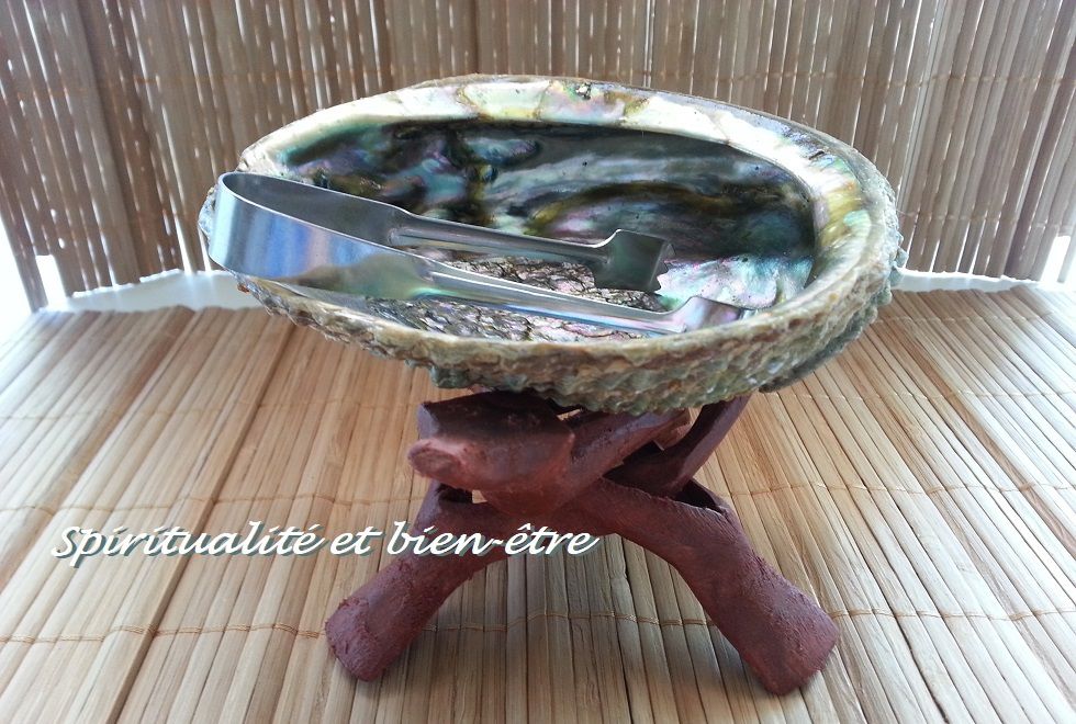 coquille d'abalone