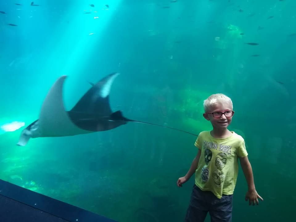 Découvrez le plus grand aquarium d'Europe dans le Pas de Calais à