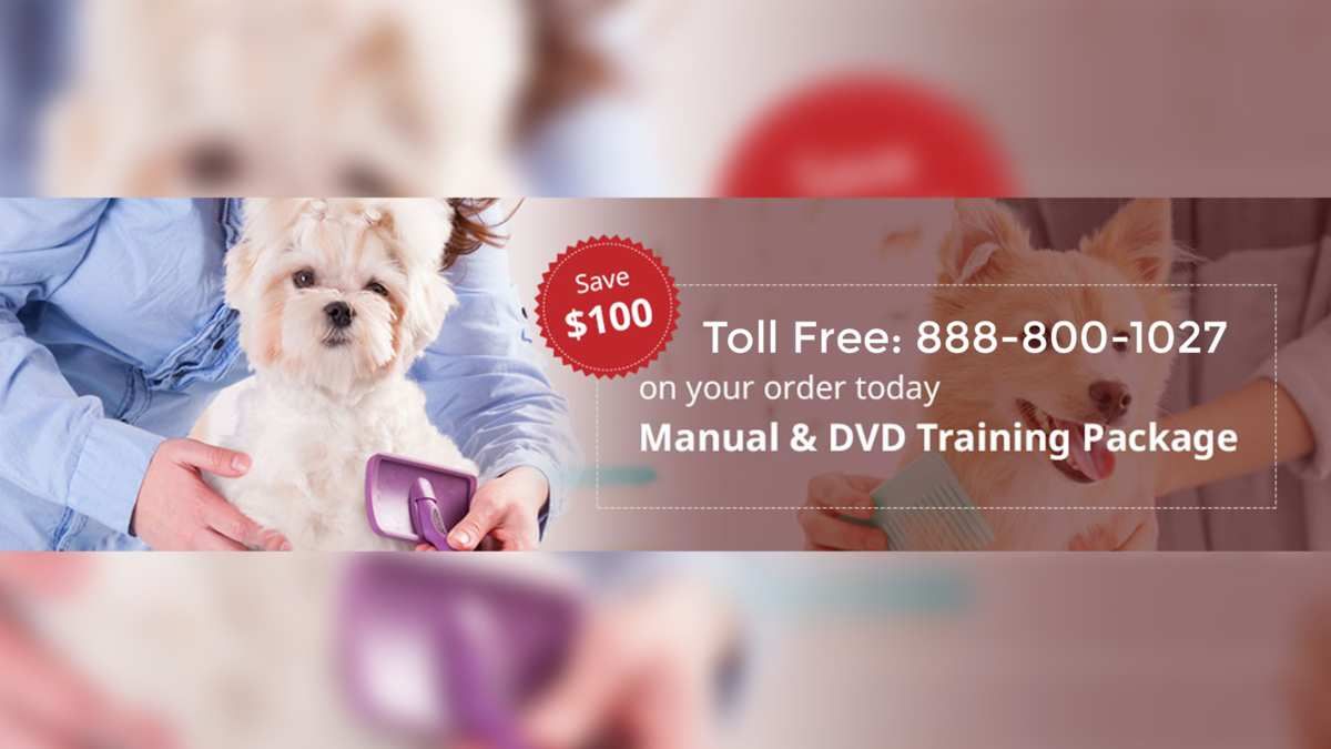 pet grooming courses