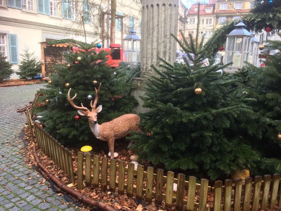 13 décembre 2019 : marché de Noël de Winterthur