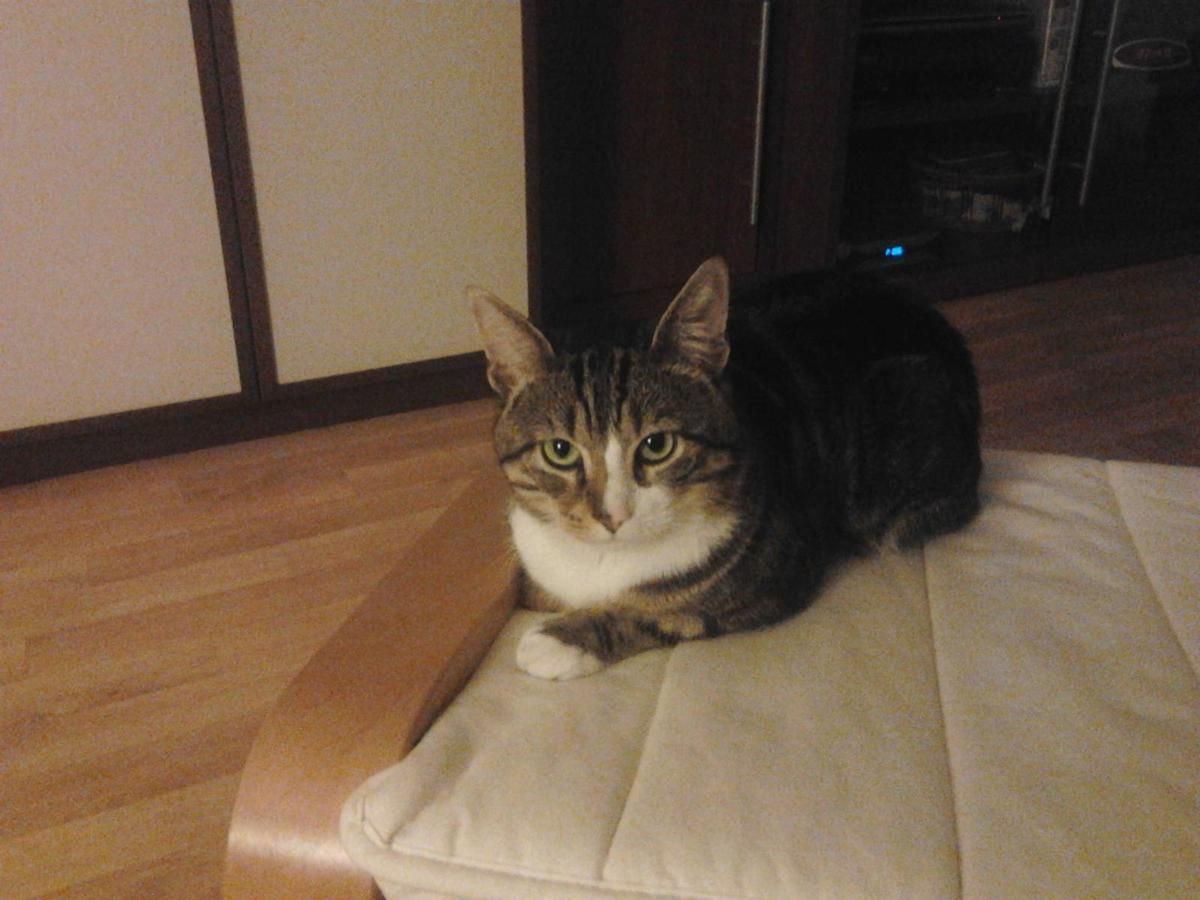 Les Nanniversaires De Mes Copains Du Web Nanniversaires De Calie Bonhomme Mabelle Jackpot Smokie Mes Copains Du Web Les Nanniversaires De Mes Copains Du Web Nanniversaires De Calie Bonhomme Mabelle Jackpot Smokie Mes Copains Du Web