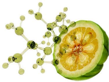 prendi garcinia cambogia dopo il cibo