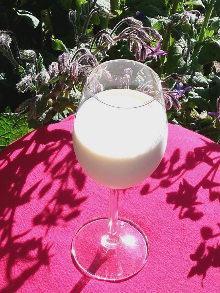 Biquette savon lait de chèvre bio